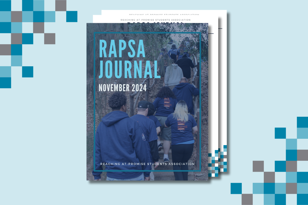 RAPSA Article banners